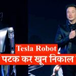 Tesla Robot